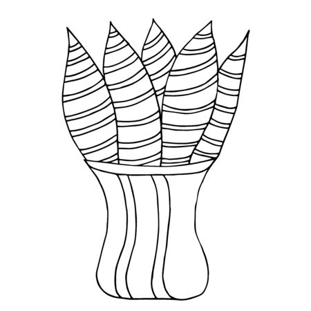 Cute hand drawn flower plant in pot. Doodle vector illustration house plants for your designes. Isolated on white background.のイラスト素材