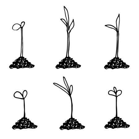Seedlings in hand drawn doodle style. Garden vector illustration. Isolated on white.のイラスト素材