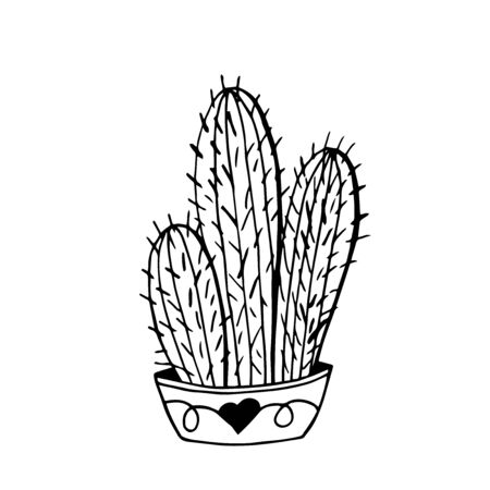 Vector hand drawn outline cactuse in flowerpot. Cute hand drawn cactus print isolated on white. Doodle illustration.のイラスト素材