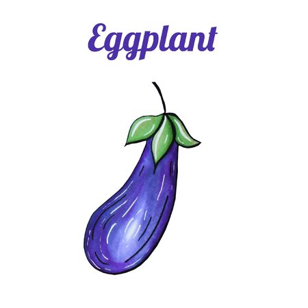 Fresh hand-drawn eggplant. Drawing healthy food. Marker illustrations. Can be used for printing on fabric, clothing, mugs, postcards and much more.の写真素材