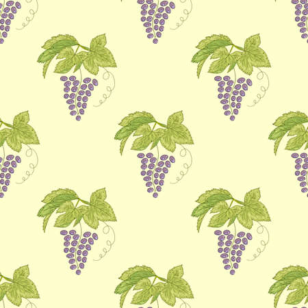 Seamless pattern with purple grape and leaves on the light yellow background.のイラスト素材