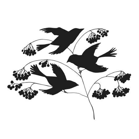 Digital silhouettes of birds. Bird vector illustration. Element for cricut.のイラスト素材