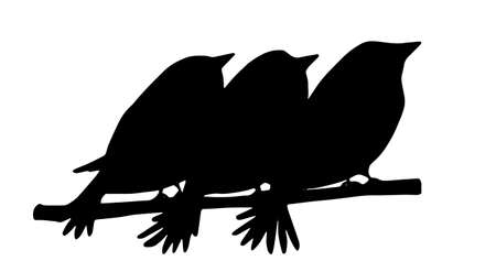 Hand drawn monochrome silhouettes of birds on the branch. Silhouettes of winter birds bullfinch. Decor elements.のイラスト素材