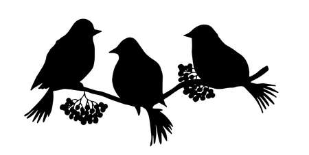 Hand drawn monochrome silhouettes of birds on the branch. Silhouettes of winter birds bullfinch. Decor elements.のイラスト素材