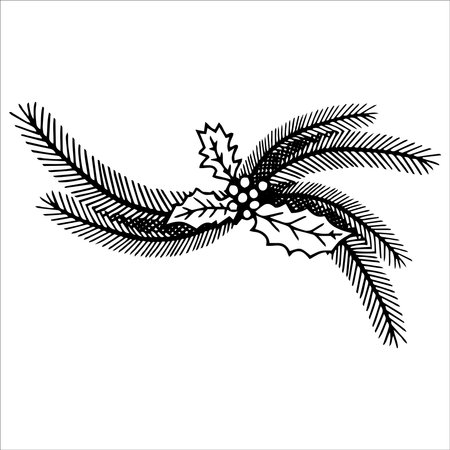 Christmas branch with holly berries, leaves and fir branches. Line art style illustration for decoration. Isolated object on white backgroundのイラスト素材