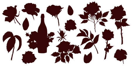 Silhouettes of different roses isolated on white. Roses branches with flower buds. Boutle of wine. Vector collection.のイラスト素材
