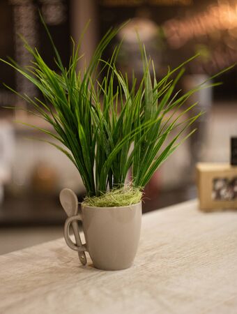 Artificial green grass in a white cup.の写真素材