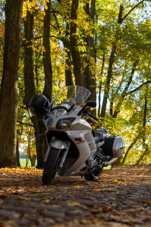 A grey Yamaha FJR motorcycle stands on a road with cobblestones and yellow autumn foliage. Motorcycle in autumn. Tall trees with yellow, orange leaves. Minsk Belarus, September, 2021のeditorial素材