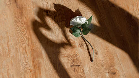The shadow of the hands in the shape of heart. Hands show a gesture of love, heart. A lonely white...
