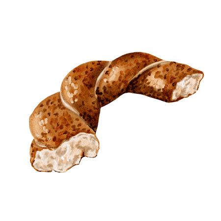 Turkish traditional simit. Half a bagel. Broken bagel. Fresh baked goods. Perfect breakfast. twisted bun. Watercolor illustration without backgroundの写真素材