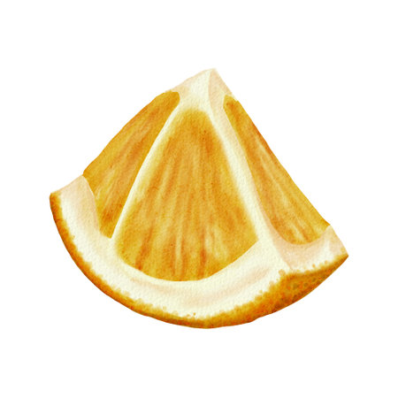 Triangular piece of orange. Cut the fruit into slices. A small juicy piece for dessert or fruit salad. Watercolor illustration without backgroundの写真素材