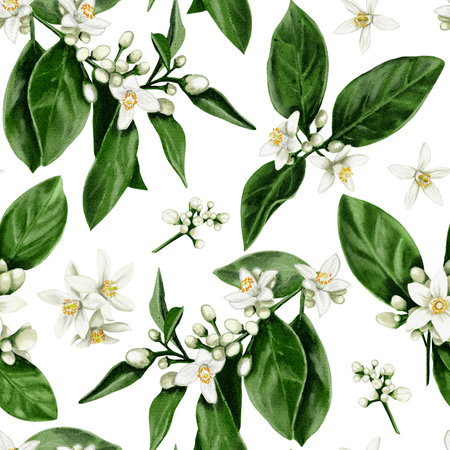 Seamless pattern of orange tree flowers. Leaves and branches with white buds and flowers. Orange blossom. Watercolor illustration. No backgroundの写真素材