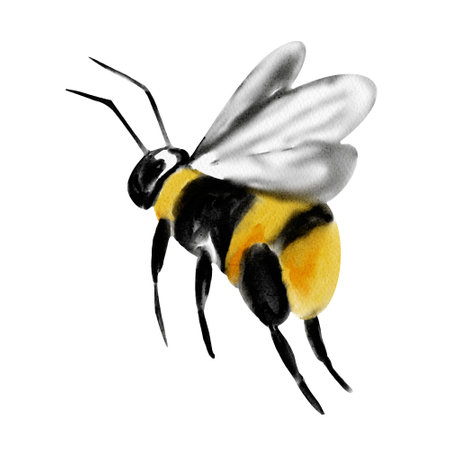 Bumblebee watercolor illustration. An insect with black and yellow stripes. A bumblebee is flying. Sketch illustration. For flower patterns, compositions and cardsの写真素材