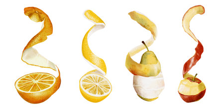Peeled fruits. Long peel. Set with apple, pear, lemon and orange. The process of peeling fruit. Watercolor illustration isolated from backgroundの写真素材