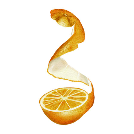 The orange is cut in half. Juicy citrus pulp. Long orange peel. Peeled fruit. Food waste. Watercolor illustration. No backgroundの写真素材
