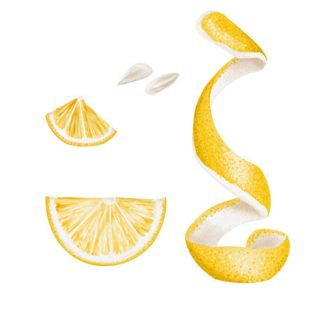Set of lemon slices and slices. Yellow citrus peel. Small white lemon tree seeds. Watercolor illustration. No backgroundの写真素材