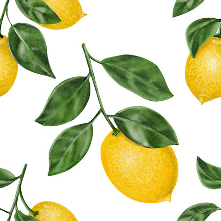 Juicy yellow lemons on branches with leaves. Seamless pattern without background. Citrus fruits and plants. Watercolor illustrationの写真素材