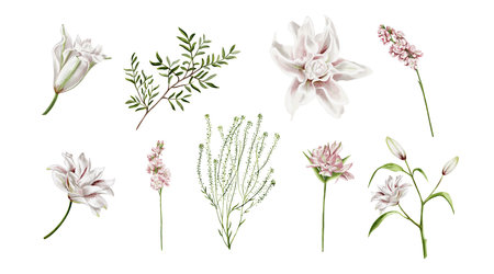 Spring flowers. Set of illustrations. Watercolor lilies, mathiolla, alstroemeria. Pistachio tree twig and plant. Delicate pink and green colors. Vintage plants. No backgroundの写真素材