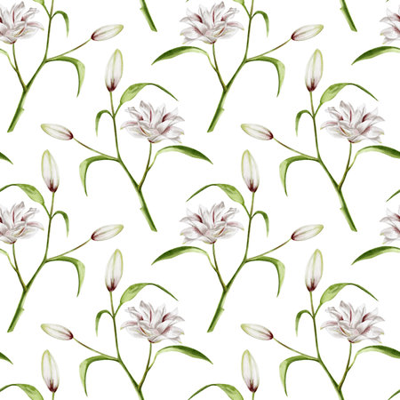 Lily flowers on a branch. Seamless pattern. Botanical flowers of lilies. Watercolor illustration without background. Long stems and leaves. Large flowers and buds, Pastel color paletteの写真素材