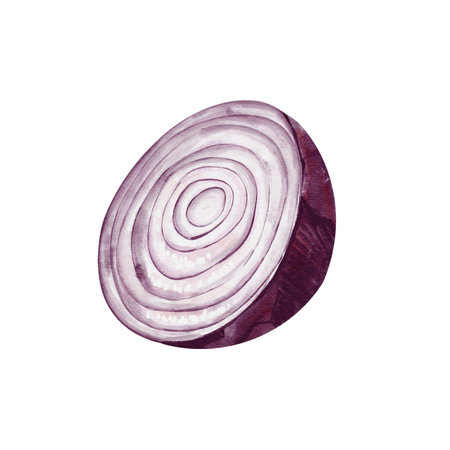 purple and red onions. half an onion. Purple vegetable. Watercolor illustration isolated from background. onion rings. For menu, recipe and food preparation. Ingredient for meat. Useful product.の写真素材