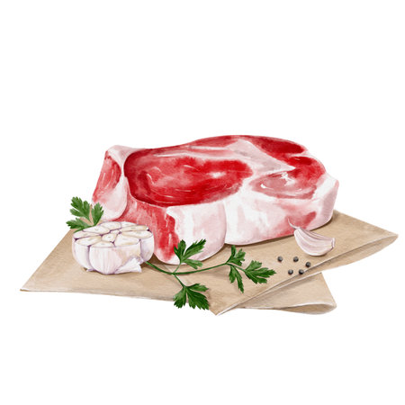 A piece of meat lies on paper with garlic and herbs. Raw steak with parsley and spices. Fresh beef or lamb or pork. The garlic is cut in half. Watercolor illustration isolated from backgroundの写真素材