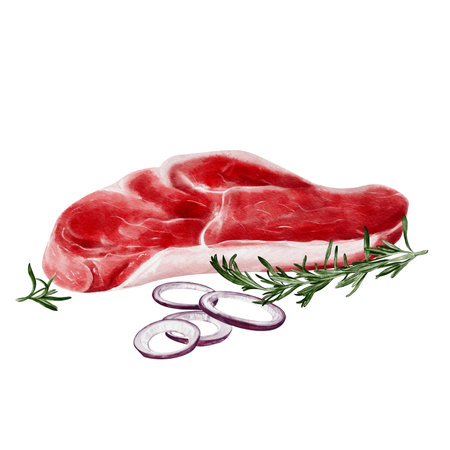Raw steak. Piece of meat with onion and rosemary. Watercolor illustration isolated from background. Beef or lamb meat. Red onion cut into ringsの写真素材