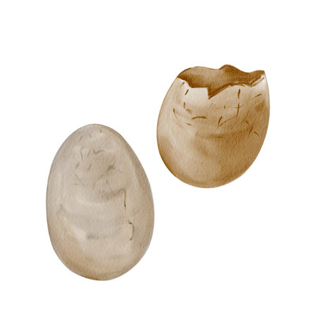 Dinosaur eggs. Prehistoric fossils. Whole egg and broken. Reptile offspring. Museum relic. Watercolor illustration isolated from background. Hand drawingの写真素材