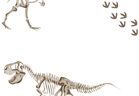 frame with dinosaur skeleton rex. Theranosaurus Rex parts. Predator tracks. Bones and skull. Dinosaur template. Watercolor illustration without background. Hand drawing.の写真素材