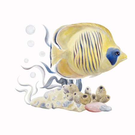 Yellow exotic fish swims near the coral reef. Sea bottom with sand and pebbles. Corals and algae. Bubbles in the background. Watercolor illustration without backgroundの写真素材