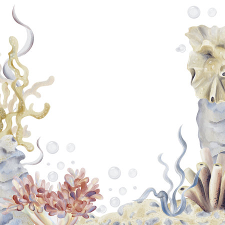 Frame and template with seabed and reef. Underwater world with flowers and seaweed. Sand with pebbles and sea sponge. Marine plants. Watercolor illustration without background. Hand drawing.の写真素材