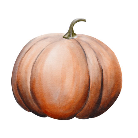 Big orange round pumpkin. Autumn harvest. Ripe vegetable. Homemade natural products. Halloween decor. Harvest festival. Watercolor illustration. Hand drawing.の写真素材