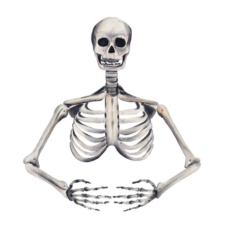 Human skeleton. bones and hands and skull. anatomical drawing. Watercolor illustration. Hand drawing.の写真素材