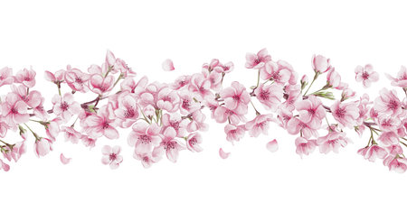 Seamless border of blooming cherry flowers. Sakura flowers. Small pink petals and tree branches. Watercolor illustration without background. Hand drawing.の写真素材