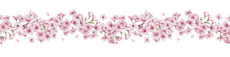 Seamless border of blooming cherry flowers. Sakura flowers. Small pink petals and tree branches. Watercolor illustration without background. Hand drawing.の写真素材