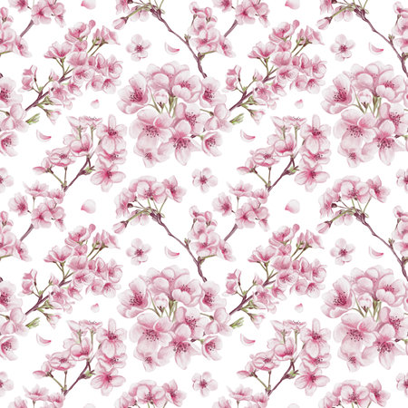 Seamless pattern with sakura flowers. Cherry blossom festival. Small pink flowers on branches. Petals and leaves. Watercolor illustration isolated from background. Hand drawing.の写真素材