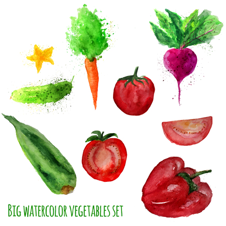 Vector set of watercolor vegetables isolated on white.  のイラスト素材