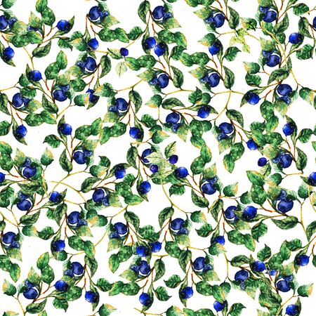 Natural organic forest blueberry seamless pattern illustration.Creative design for card, web design background, book coverの写真素材