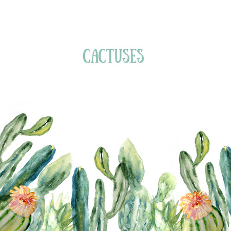 Watercolor cactus card.の写真素材