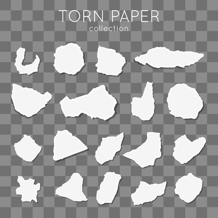 Torn Paper vector set. Patch sticky texture. Modern collectionのイラスト素材
