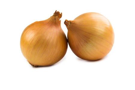 onions  isolated on white backgroundの写真素材