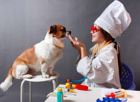 Girl playing veterinarian with dogの写真素材