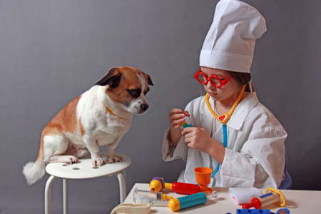 Girl playing veterinarian with dogの写真素材
