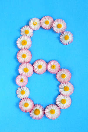 The number 6 is written in white pink flowers on a blue background. The number six is written in fresh colors, highlighted on a blue background. Arabic numeral inlaid with daisies.の写真素材