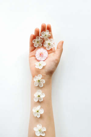 A beautiful child's hand with delicate flowers lies on a white surface. The concept of donation and assistance. Extended life. World blood donor day and the concept of saving lives.の写真素材