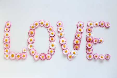 the word love is laid out with spring flowers daisies on a white background top view, flower arrangementの写真素材