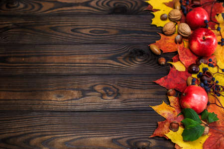 Autumn bright yellow-red leaves, nuts, apples on a wooden background. natural table made of boards. top view with space for textの写真素材