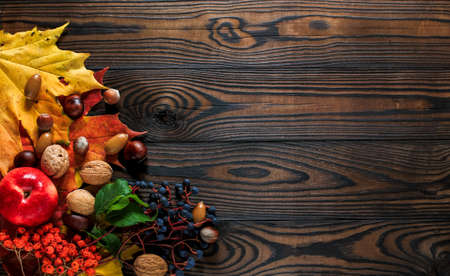 Autumn bright yellow-red leaves, nuts, apples on a wooden background. natural table made of boards. top view with space for textの写真素材