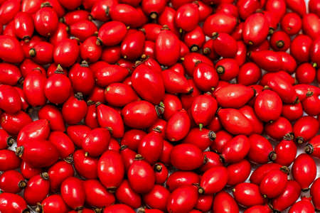 Top view of freshly picked red rosehip fruitの写真素材