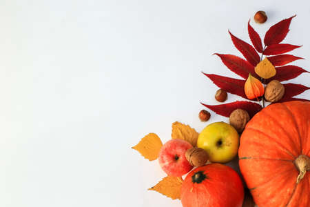 thanksgiving day concept, autumn harvest composition with space for text, leaves, apples and pumpkins, top view, horizontal arrangementの写真素材