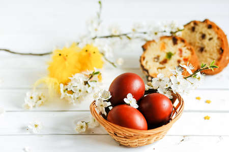 Easter composition with eggs, flowering branches on a white wooden backgroundの写真素材